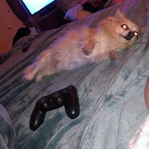 Meet your Posher, Bianca